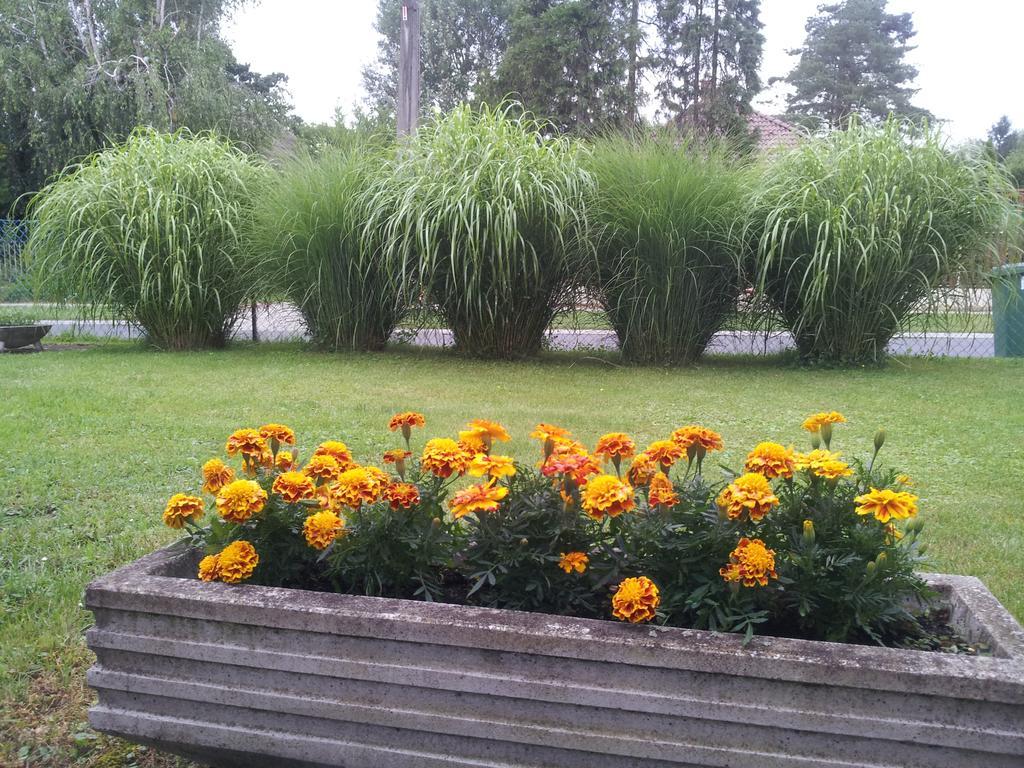 Hajas Familia Kiado Szobak Balatonmáriafürdő Екстериор снимка